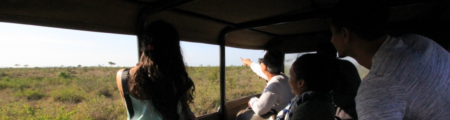 Full Day Game Drives With Knowledgeable Guides