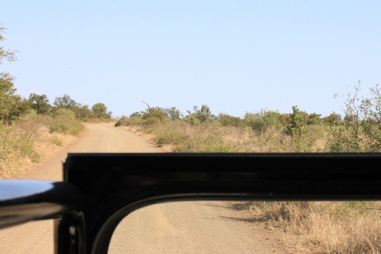 Open Vehicle Game Drives