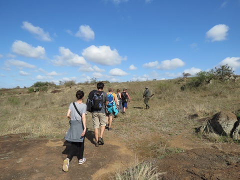 Bush Walk in the Kruger National Park....