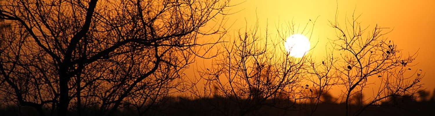 Sunset Drives in Kruger Park