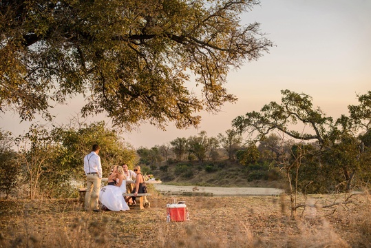 Safari Wedding Bordering the Greater Kruger National Park