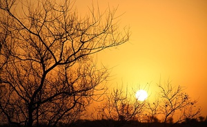 Sunset Drive in Kruger National Park