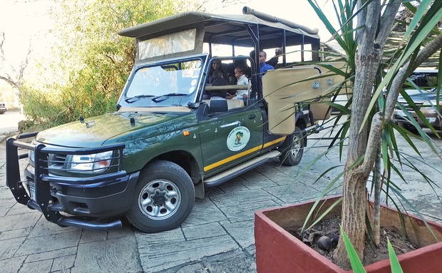Full Day Game Drive to the Kruger National Park with Grand Kruger Lodge
