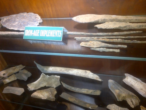 Sudwala Caves fossils