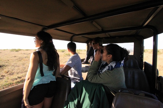 Kruger Park Wildlife Tours